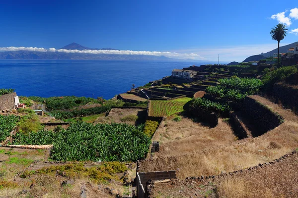 View Agulo town buildings banana plantation and Teide volcano background — Stock Photo, Image