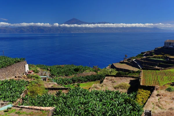 View Agulo town buildings banana plantation and Teide volcano background — Stock Photo, Image