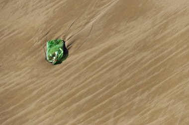 Plastik su şişesi bir plajda zarar