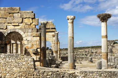 Roma kentinin Volubilis kalıntıları Roma İmparatorluğu