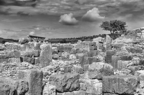 Rovine imperiali romane della città in cammino Volubilis — Foto Stock