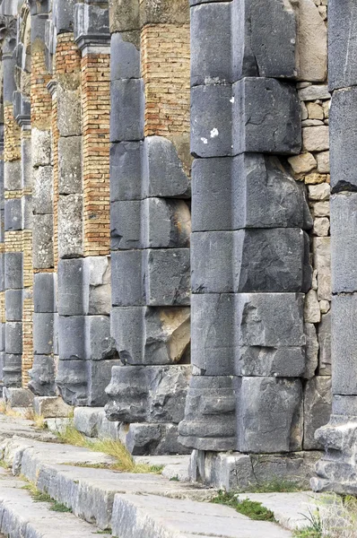 Rovine imperiali romane della città in cammino Volubilis — Foto Stock