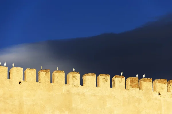 Městské hradby v Meknes — Stock fotografie