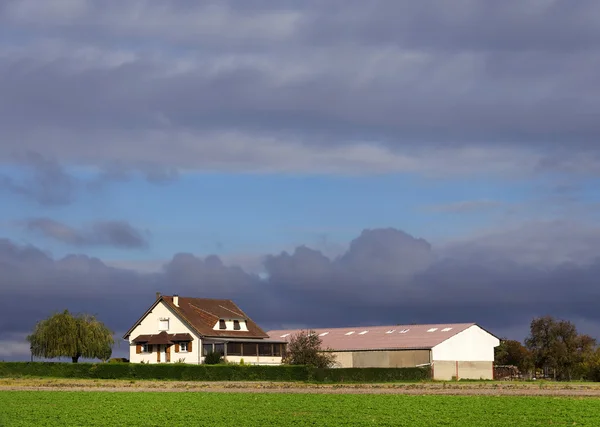 Statek země — Stock fotografie