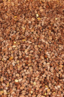 tuzlu fıstık yakın çekim