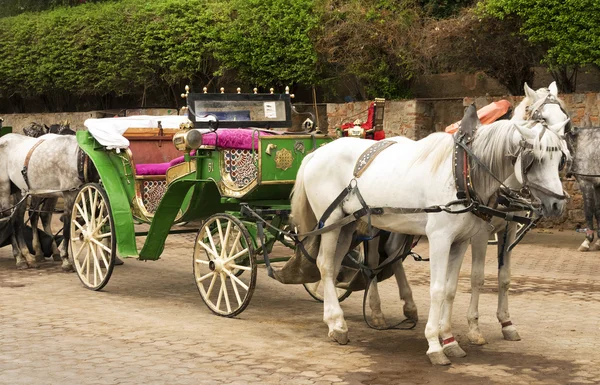 Carruajes tirados por caballos para turistas en Jemaa el-Fnaa, Marruecos —  Fotos de Stock