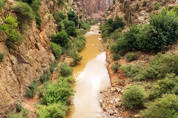 Ouzoud Gorges, Morocco, Africa — Stock Photo, Image