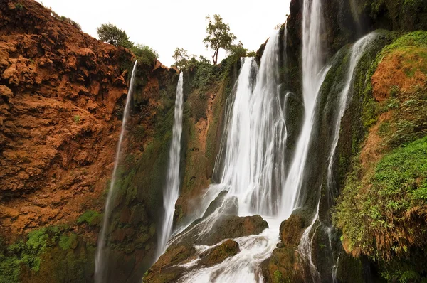 Wodospady Ouzoud, Maroko — Zdjęcie stockowe