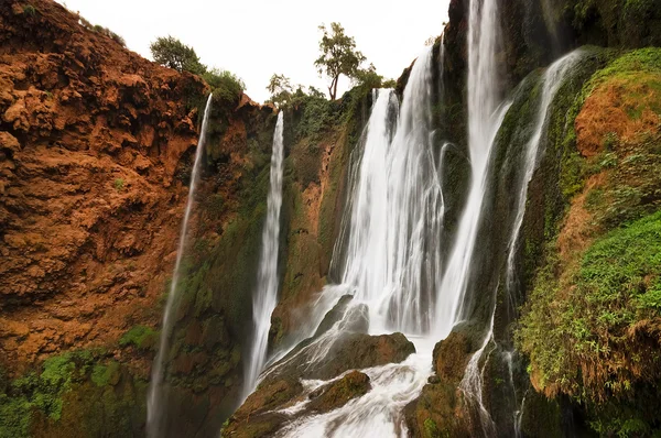 Cascate di Ouzoud, Marocco — Foto Stock