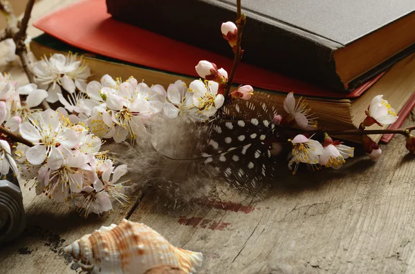 Vintage nature morte avec de vieux livres fleurs d'abricot et caméra rétro sur une surface en bois — Photo