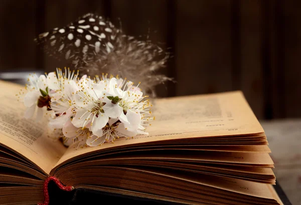 Вінтажний романтичний фон зі старою книгою, абрикосовою квіткою та маленьким пір'ям — стокове фото