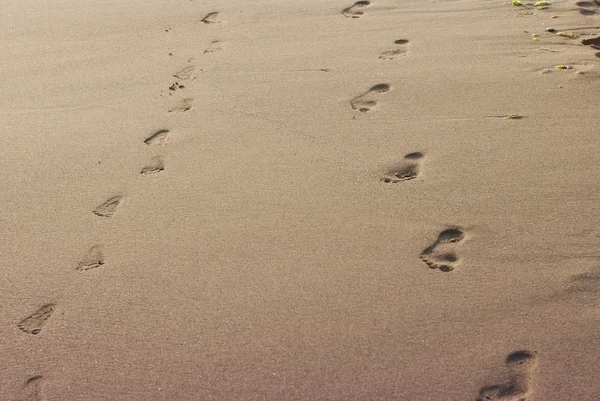 Traces of adult and children feet in the sand on the beach Stock Picture