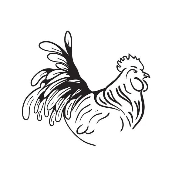 Symbol of 2017 new year by chinese calendar. Hand drawn vector rooster. — Stock Vector