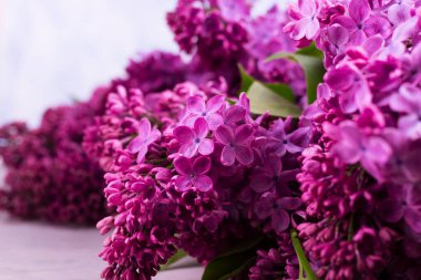 Sepette güzel mor leylak çiçekleri var. Bahar festivali arka planı.