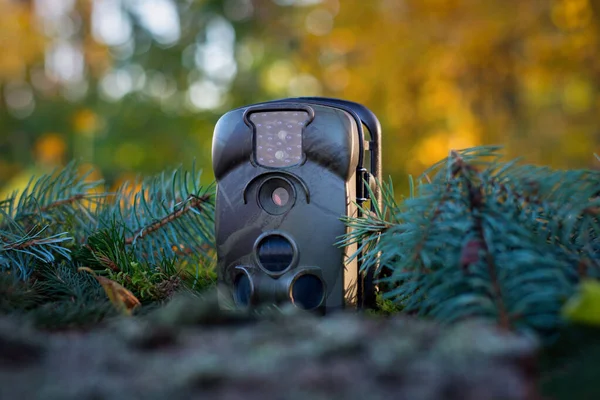 Reklamní Fotografie Trap Nebo Hunting Camera Infračerveným Světlem Detektor Pohybu — Stock fotografie