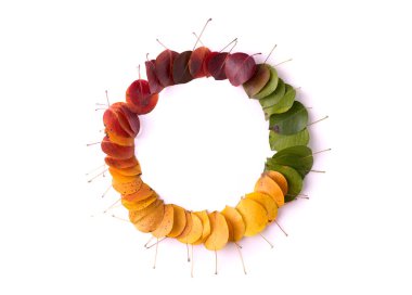 Yeşilden kırmızıya yuvarlak eğimli. Sonbahar sezonluk arka plan indirimli poster için uygun.