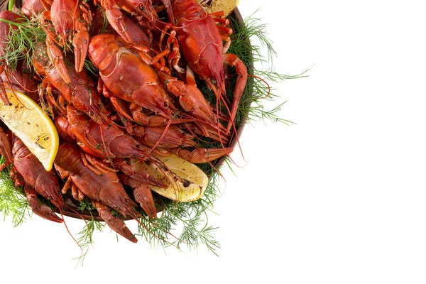 Crayfish boiled on a dish with dill spices and lemon on a white background.