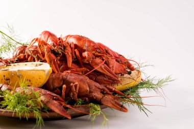 Kerevit, arkaplanda dereotu baharatları ve limon olan bir tabakta kaynatılmış..