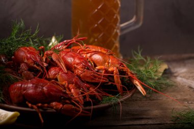 Kerevit, dereotlu ve limonlu bir tabakta kaynatıldı. Karanlık, durgun hayat.