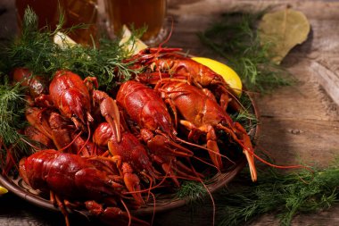 Kerevit, dereotlu ve limonlu bir tabakta kaynatıldı. Karanlık, durgun hayat.