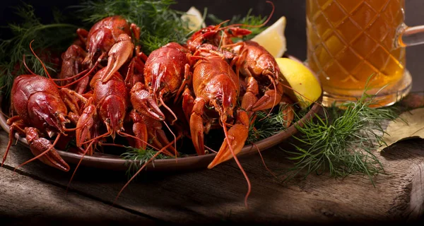 Crayfish boiled on a dish with dill spices and lemon. Dark moody still life.