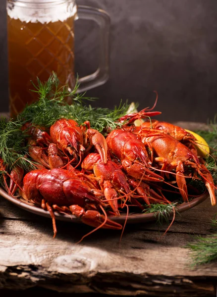 Crayfish boiled on a dish with dill spices and lemon. Dark moody still life.