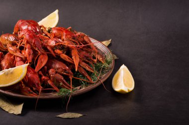 Kerevit, dereotlu ve limonlu bir tabakta kaynatıldı. Karanlık, durgun hayat.