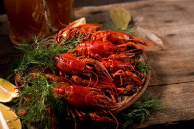 Kerevit, dereotlu ve limonlu bir tabakta kaynatıldı. Karanlık, durgun hayat.