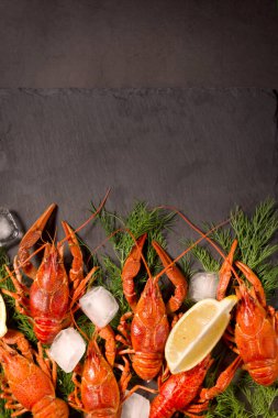 Kaynamış kırmızı kerevit, limon dilimleri ve siyah bir yüzey üzerinde buz küpleriyle yemeye hazır. Taze deniz ürünleri..