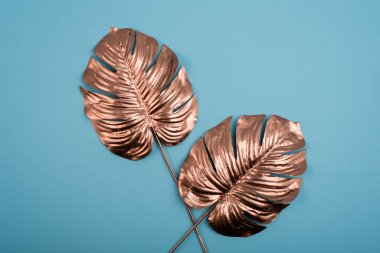 Altın Canavar yaprakları. Lüks altın boyalı tropikal yapraklar üst manzarada. Merhaba, yaz minimalist konsepti..