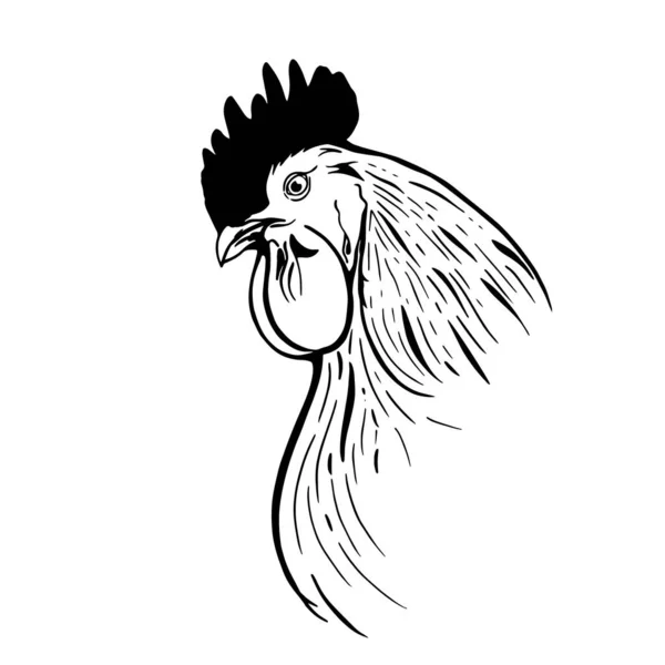 白色背景上的手绘图形公鸡。很好的标志设计. — 图库矢量图片