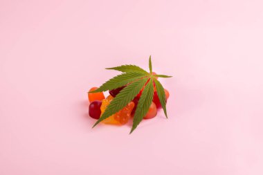 Kenevir Tıbbi Marihuana 'dan yapılmış jelibon ayıcıkları ve pembe arka planda taze yeşil kenevir yaprağı. CBD ve THC tıbbi ürünleri.