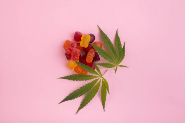 Kenevir Tıbbi Marihuana 'dan yapılmış jelibon ayıcıkları ve pembe arka planda taze yeşil kenevir yaprağı. CBD ve THC tıbbi ürünleri.