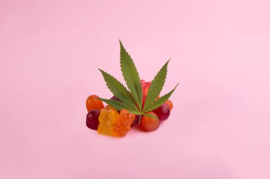 Kenevir Tıbbi Marihuana 'dan yapılmış jelibon ayıcıkları ve pembe arka planda taze yeşil kenevir yaprağı. CBD ve THC tıbbi ürünleri.