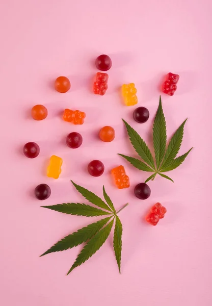 Żelki wykonane z marihuany medycznej Cannabis ze świeżym zielonym liściem marihuany na różowym tle. Produkt leczniczy CBD i THC. — Zdjęcie stockowe