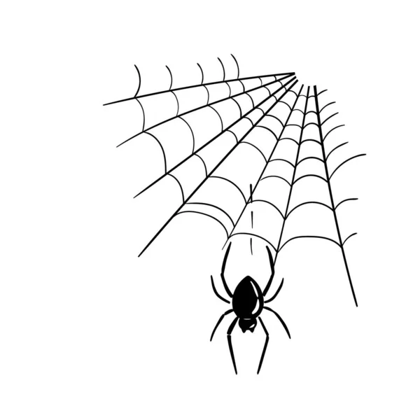 Siyah örümcek ve onun net mürekkep çizimi. Cadılar Bayramı vektör tasarımı ögesi. — Stok Vektör