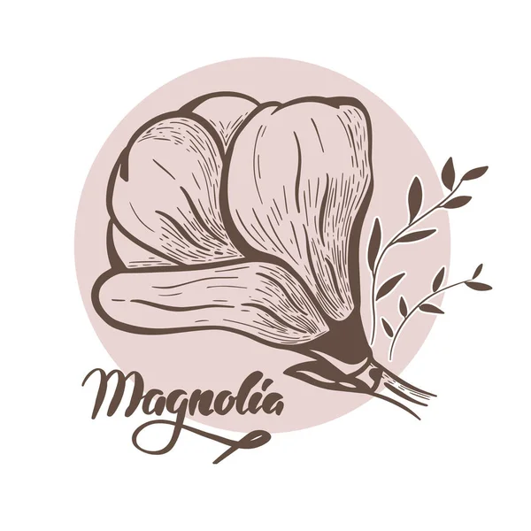 Magnolia çiçeği Modern soyut vektör çiçek simgesi. — Stok Vektör