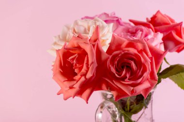 Vazoda tek bir pembe gül renginde minimalist bir hayat..