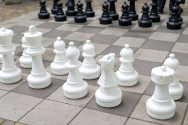 Turnuvadan önce satranç tahtasının üzerinde duran Satranç Parçaları.