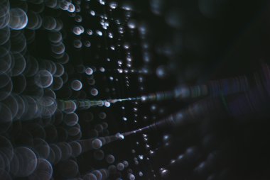 Bir örümcek ve çiğ damlaları ile arka plan.