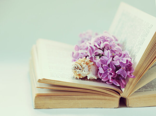 Vintage romantic background with old book, lilac flower, and little seashell. retro toning image