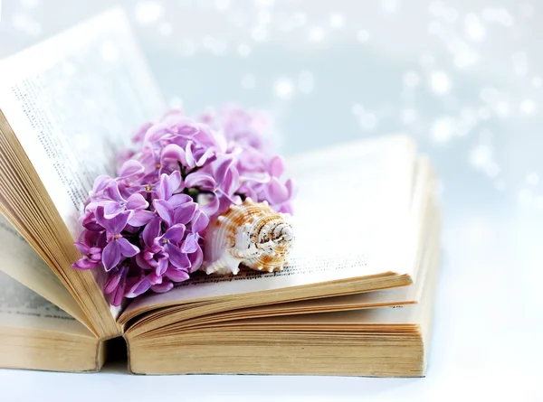 Vintage romantic background with old book, lilac flower, and little seashell — Stock Photo, Image