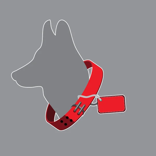 Do Dogs Have To Wear A Collar And Tag