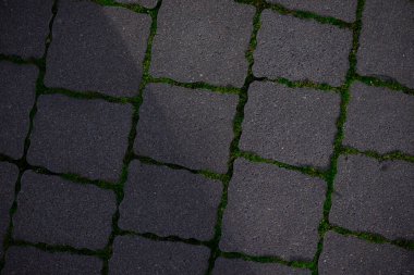 Kiremitler Arasında Yeşil Yosun olan Koyu Taş Asfalt. Doğal kentsel zemin dokusu, mimari, açık hava geçidi, tasarım kalıpları ve yüzey malzemeleri için mükemmel..