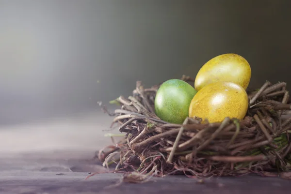 Easter eggs in the nest on rustic wooden background — Stock Photo, Image