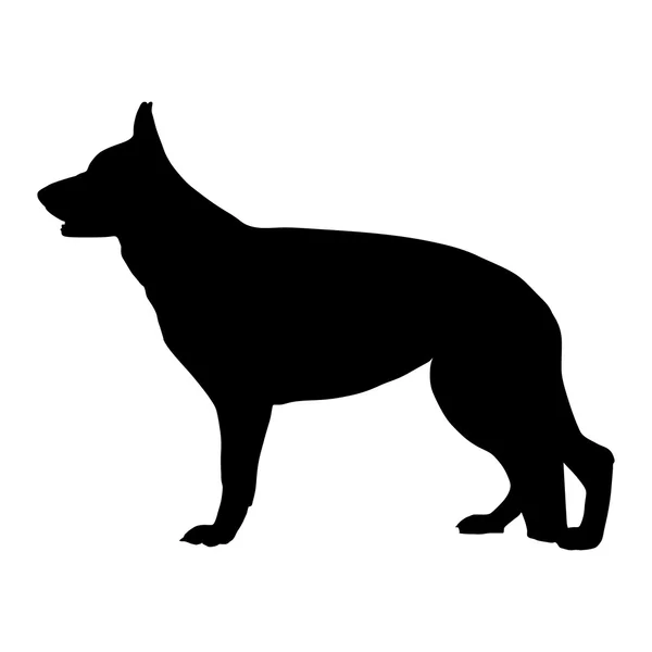 Alman çoban köpeği siyah silüeti. Vektör çizim