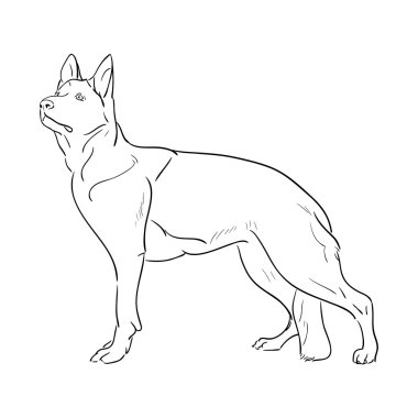 Elle çizilmiş Alman çoban köpeği. Sketch vektör çizim