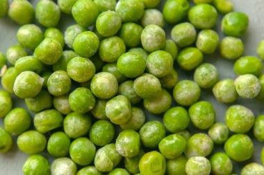 Beton arka planda donmuş taze bezelye tanelerini kapatın. Organik Sebze Hazırlama Vitaminlerin korunumu. Seçici yumuşak odak.