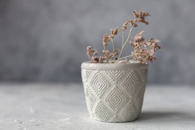 Soyut lekeli renkli tek renkli taş mum tutucu seti, kuru çiçekle gri betonu çatlatıyor. Saksı, saksı ve dekorasyon için kullanılıyor. metin için boşluk kopyala, seçici yumuşak odak