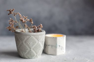 Soyut lekeli renkli tek renkli taş mum tutucu seti, kuru çiçekle gri betonu çatlatıyor. Saksı, saksı ve dekorasyon için kullanılıyor. metin için boşluk kopyala, seçici yumuşak odak